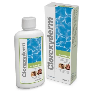 Clorexyden shampoo